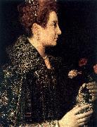 ANGUISSOLA  Sofonisba Profile Portrait of a Young Woman oil on canvas